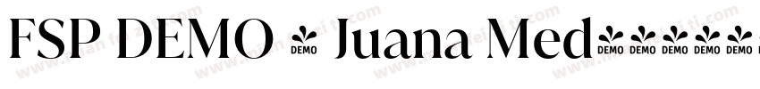 FSP DEMO - Juana Med字体转换
